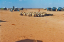 2005_11_13_01_16_28_edited-3